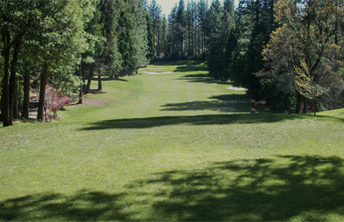 forest-meadow-golf-course