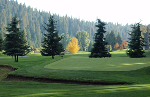 sequoia-woods-golf-course